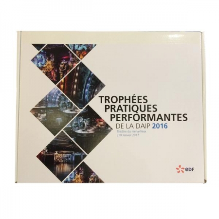 Trophee carton sur-mesure. Cardboard trophies 